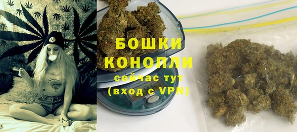 ГАЛЛЮЦИНОГЕННЫЕ ГРИБЫ Богородск