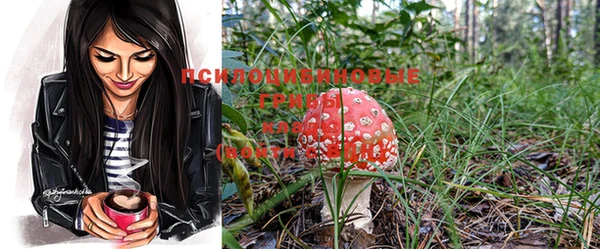 jwh Богданович
