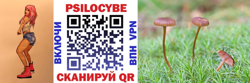 Купить где  Почеп  Псилоцибиновые грибы ЛСД 