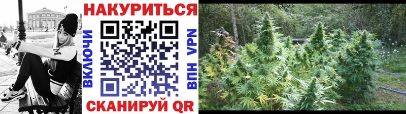 Купить где  Почеп  МАРИХУАНА марихуана 